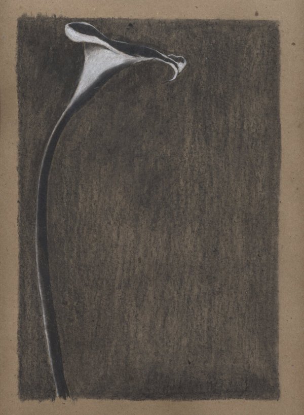 original drawing by Campello
