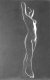 Salome