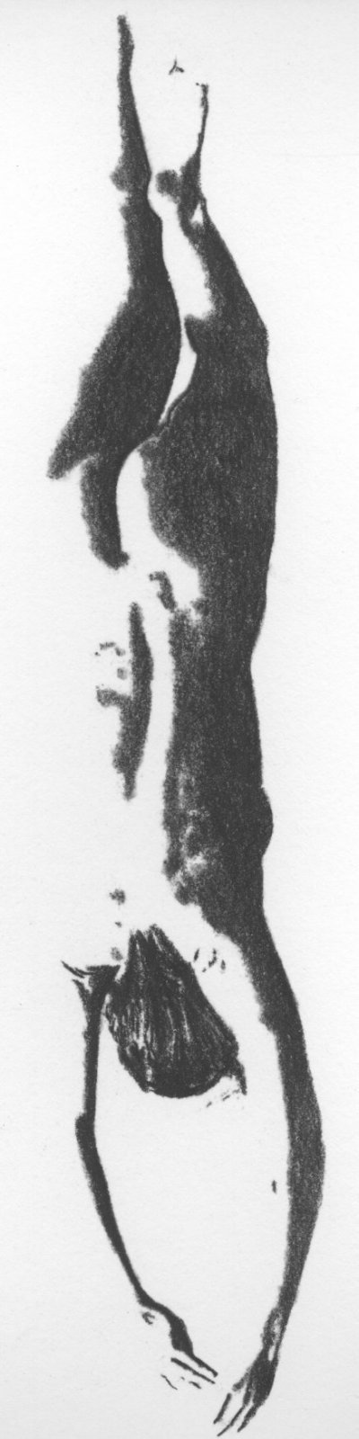 original drawing by Campello