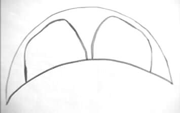Pictish Crescent IV