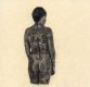 Drawing from the Pictish Nation Series